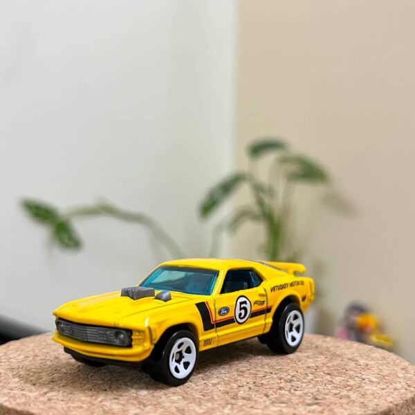 70 Ford Mustang Mach 1 (Vetuskey Motor co.)